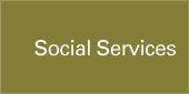 Social Services